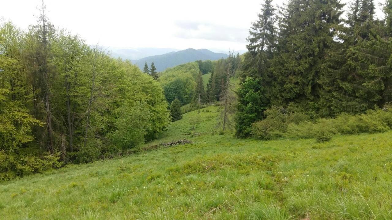 Лісовий Маєток Slavske Exteriör bild