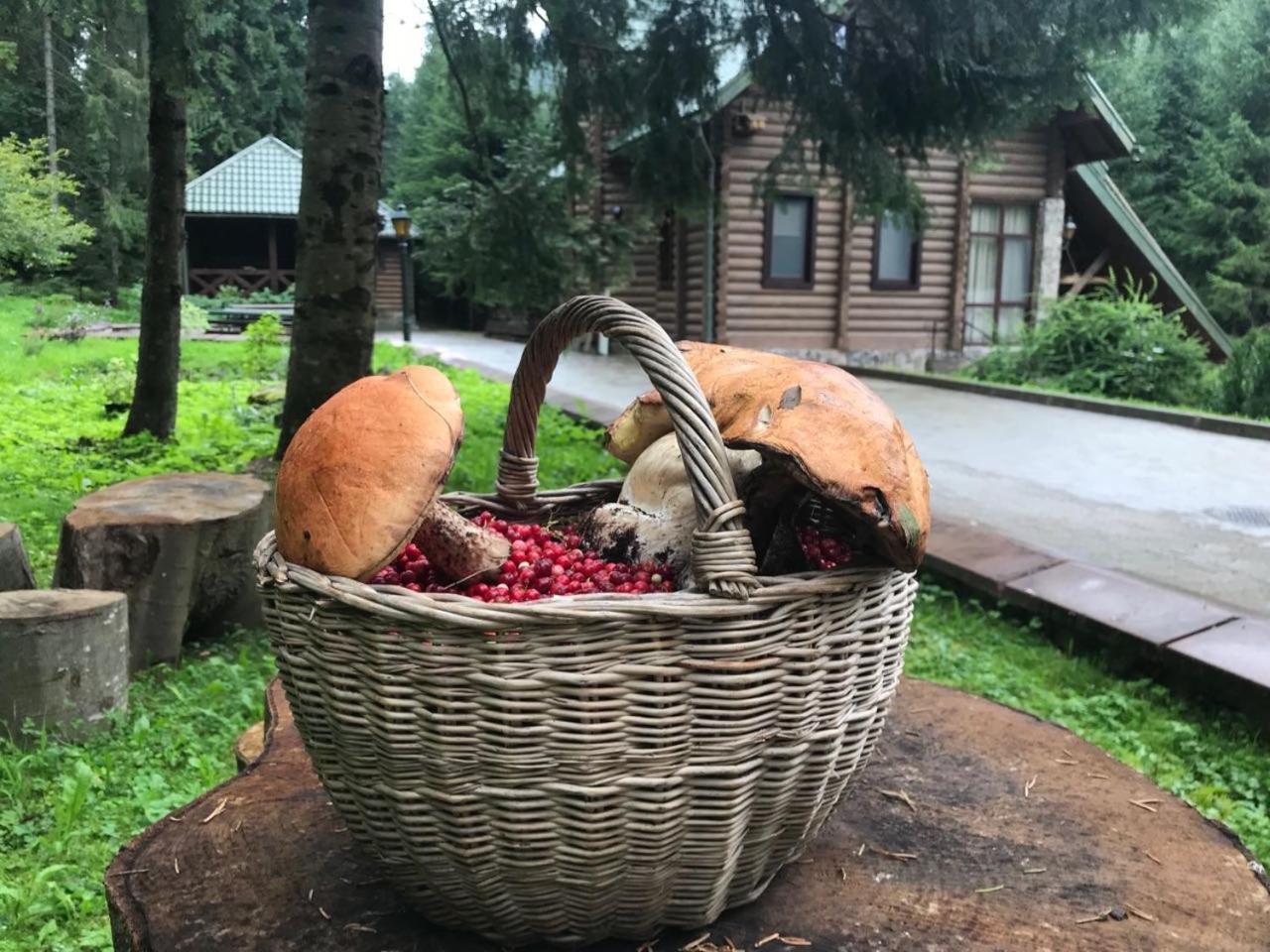 Лісовий Маєток Slavske Exteriör bild